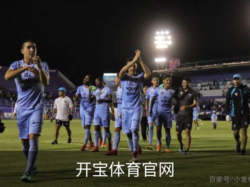 了解开宝体育官网
